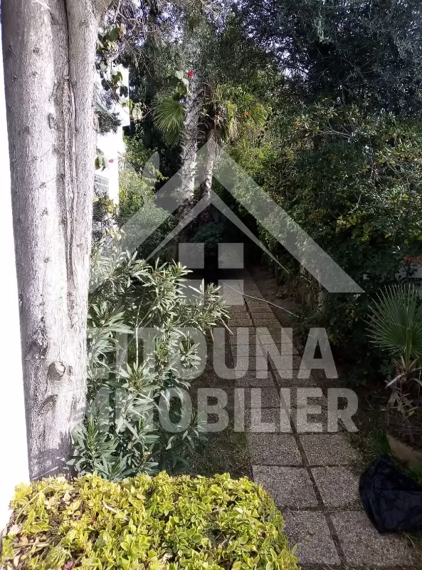 A louer une villa à la Marsa