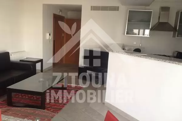 Appartement luxueusement meublé