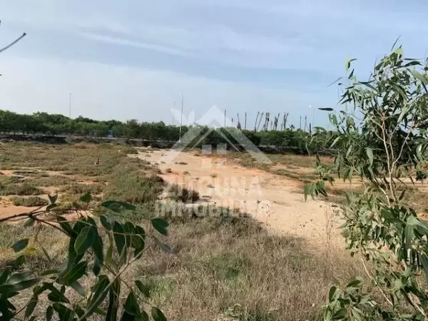 terrain Raoued