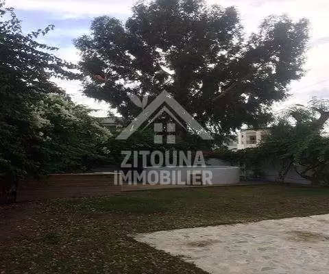 Villa a louer à la Marsa ville (AM3241)