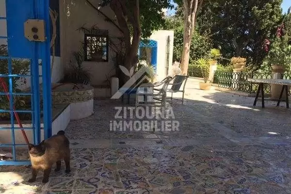 Rez de Chaussée de Villa Arabesque à louer à Sidi Bou Said (3132)