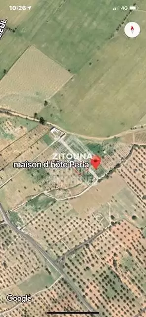 A vendre un Terrain Agricole à Sidi Jdidi (4179)