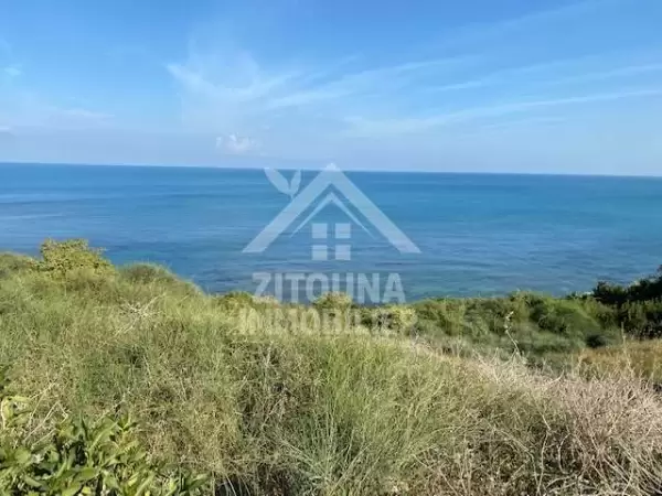 Occasion à ne pas rater ,à vendre deux lots de terrains pied dans l'eau à Gammarth Palace 4238