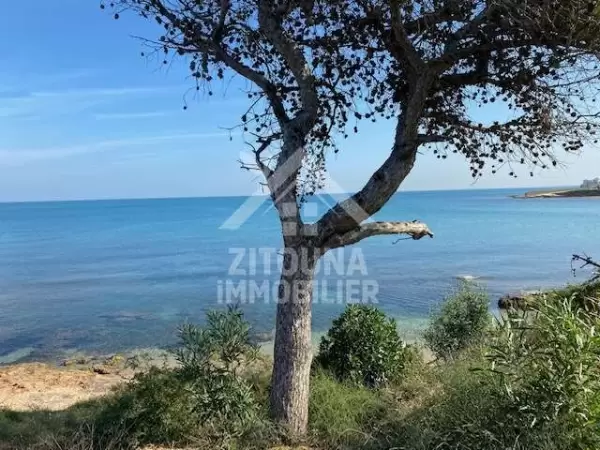 Occasion à ne pas rater ,à vendre deux lots de terrains pied dans l'eau à Gammarth Palace 4238