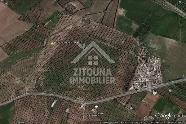 Terrain à vendre à Zaghouan, Tunisie (2883)