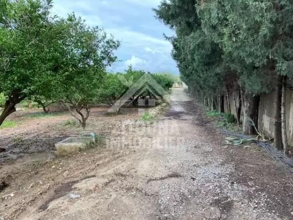 Une ferme de 1400 m² à vendre à Mornag