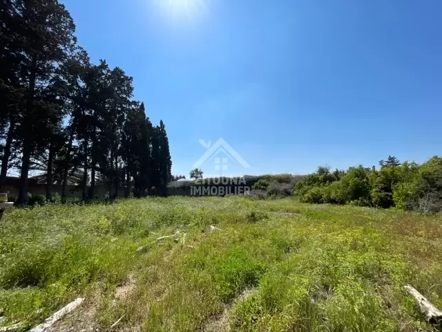 A vendre un lot de terrain de 2534 m2