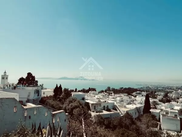 Appartement cosy avec un décor traditionnel au coeur du village historique de Sidi Bou Said