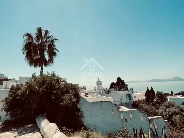 Appartement cosy avec un décor traditionnel au coeur du village historique de Sidi Bou Said