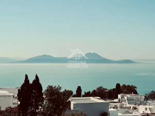 Appartement cosy avec un décor traditionnel au coeur du village historique de Sidi Bou Said