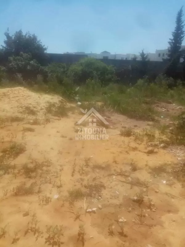 A vendre un terrain à Gammarth