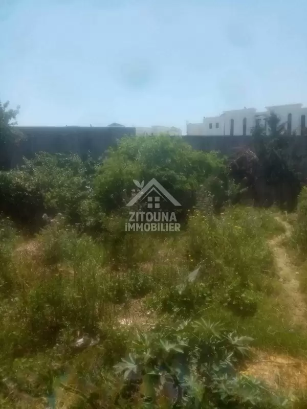 A vendre un terrain à Gammarth