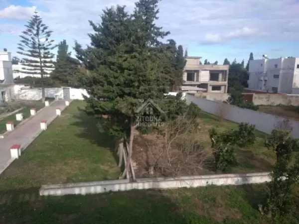 vente terrain à corniche bizerte