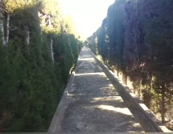 vente une belle ferme à manzel bourguiba bizerte