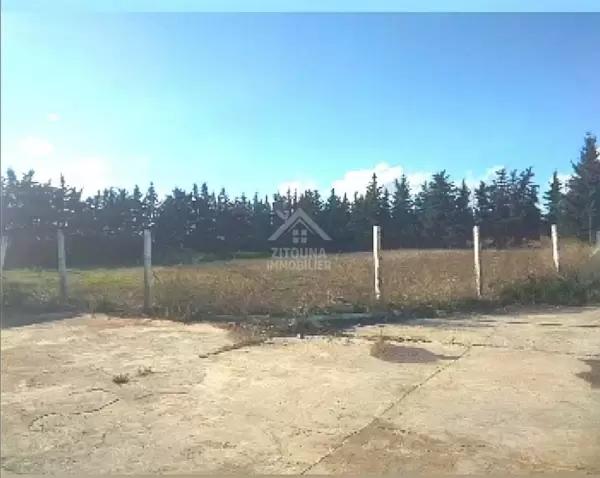 vente une belle ferme à manzel bourguiba bizerte