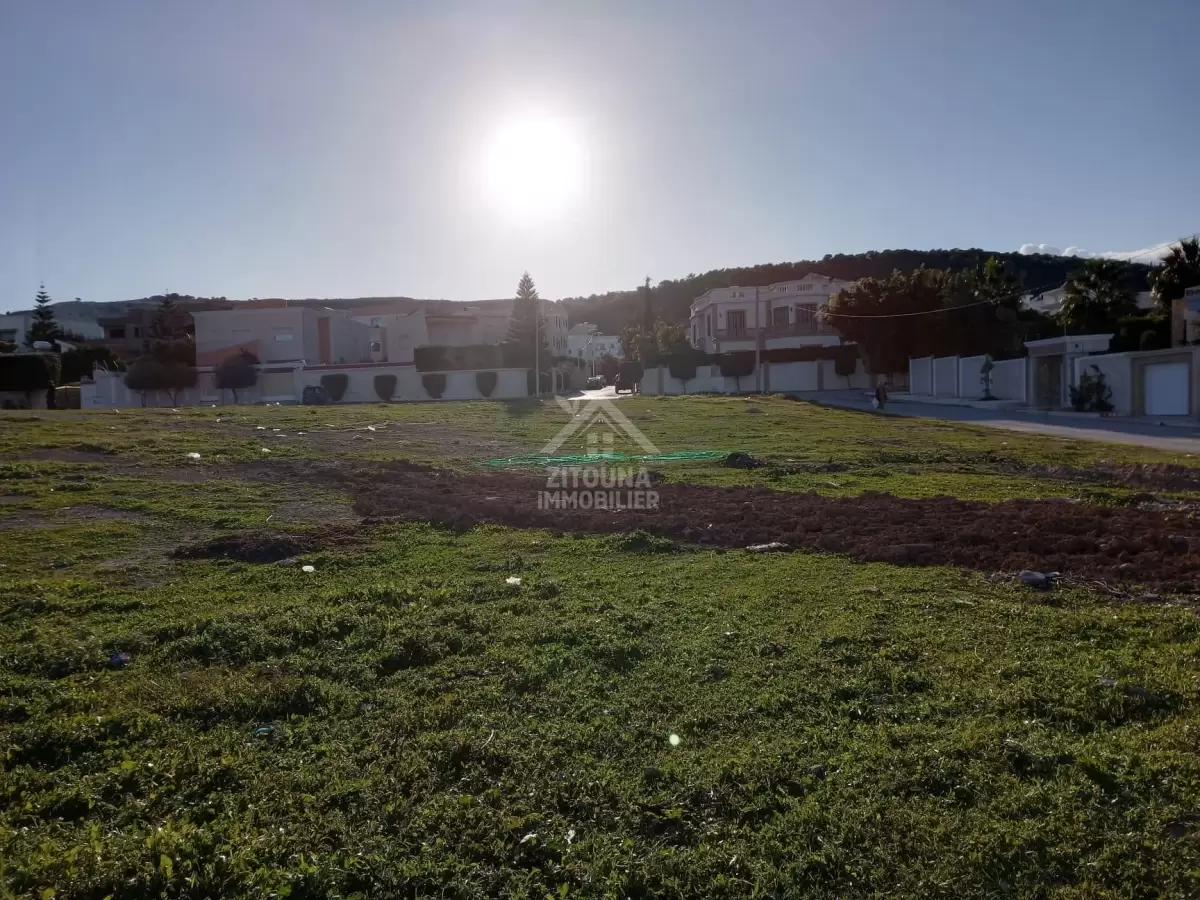 vente terrain splendide comercial à riadh andalous