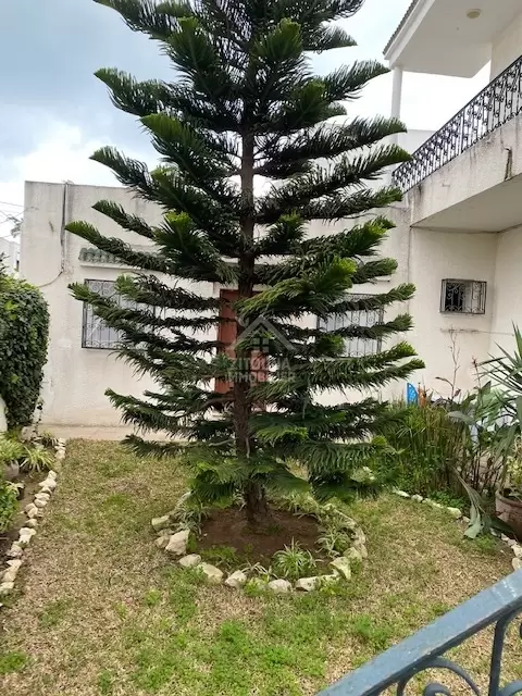A louer un Studio meublé à la Marsa