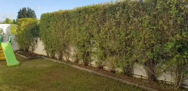 A louer un magnifique appartement Lumineux avec un grand jardin à La Soukra