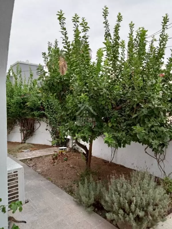 A louer une villa S+4 à La Marsa