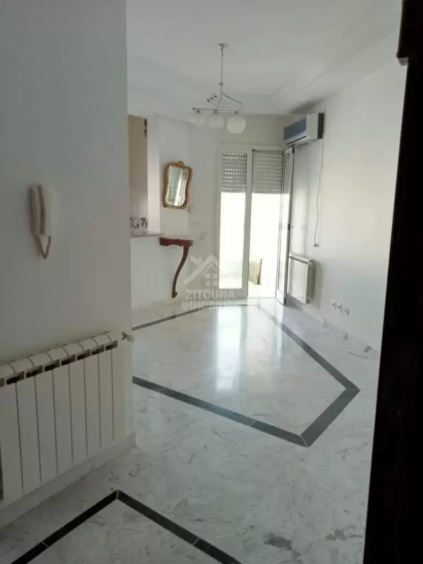 Un beau S+1 à louer à la Marsa