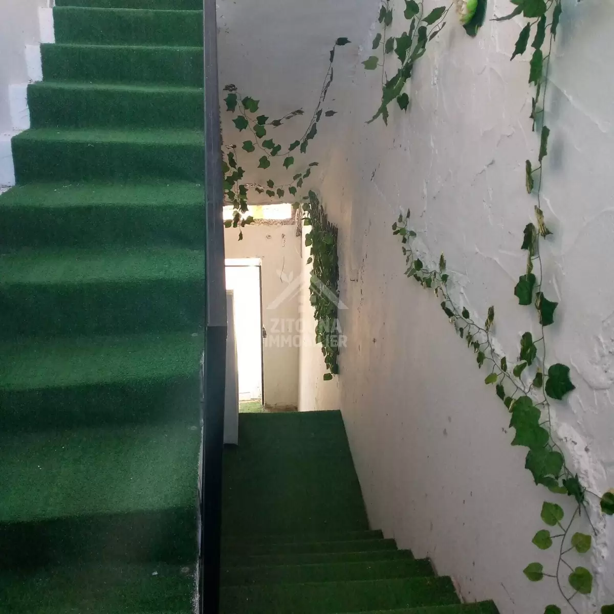 A louer un appartement S+1 meublé à la Marsa