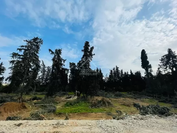 Des lots de terrain à vendre à Chotrana