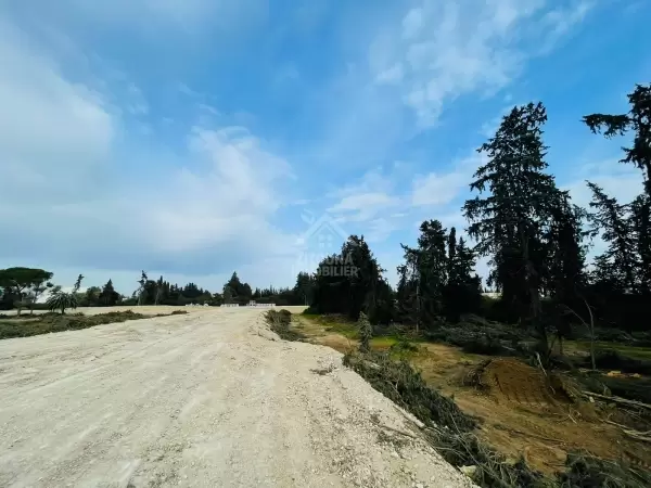 Des lots de terrain à vendre à Chotrana
