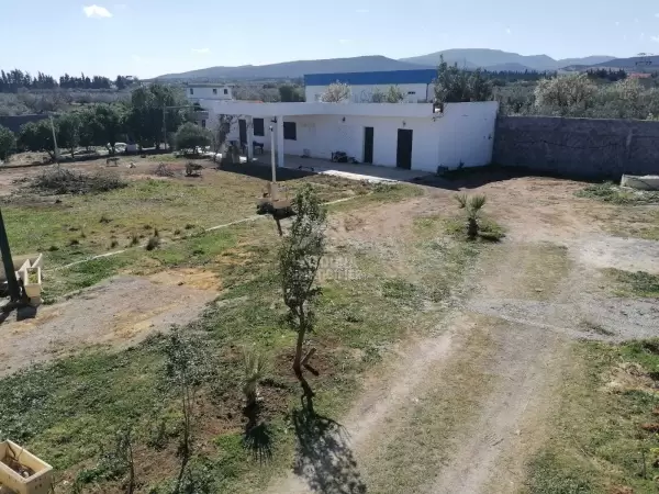 A vendre un showroom sur une route principale