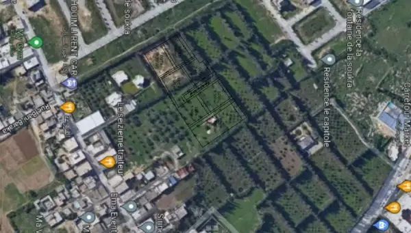Des lots de terrains à vendre à Chotrana I