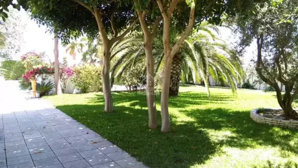 A vendre Villa majestueuse à Hammamet