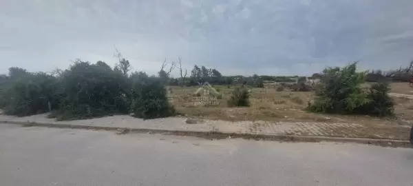 Occasion à ne pas rater ,à vendre un terrain pied dans l'eau beni khiar