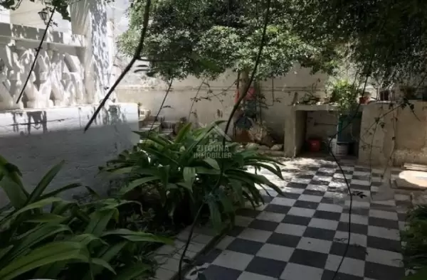 A vendre deux villas avec 2 studios ideale pour maison d'hote