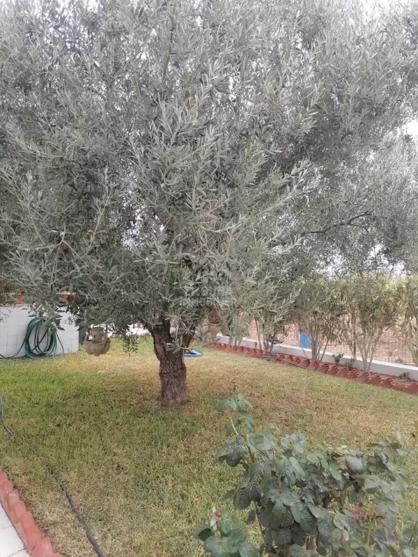 A Vendre une grande villa avec piscine à Oued Elil Manouba