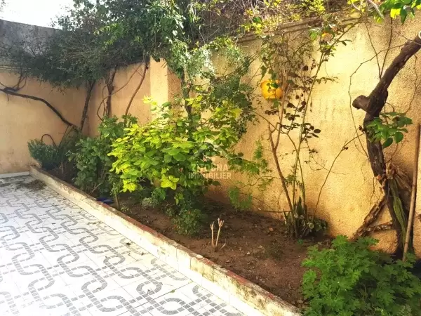 A Louer un appartement à kheireddine