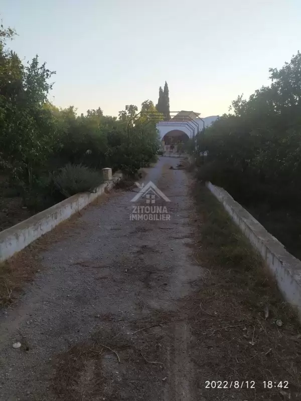A VENDRE une grande ferme à nabeul