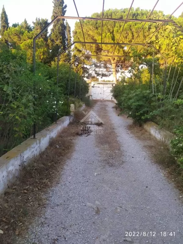A VENDRE une grande ferme à nabeul