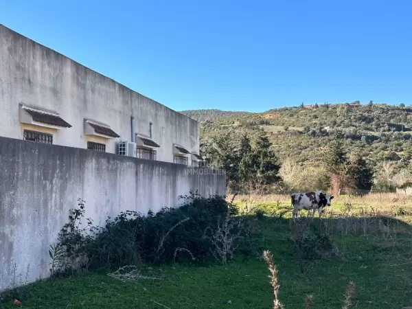 A VENDRE une Maison de campagne s+4 à Tabarka