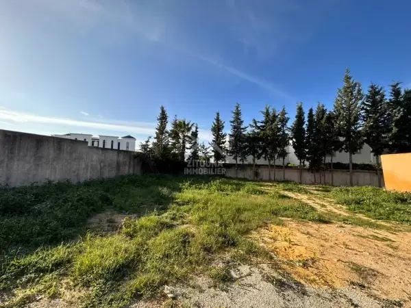 A VENDRE Un terrain de 300 m² à Gammarth Village