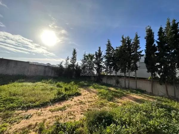 A VENDRE Un terrain de 300 m² à Gammarth Village