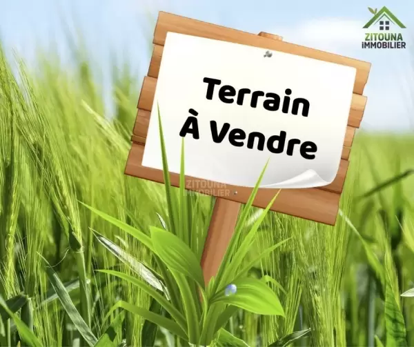 A vendre un terrain de 550 m² à Bhar Lazreg