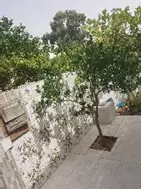 A vendre une maison à Enfidha Sousse