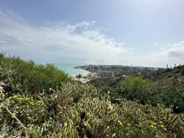une opportunité à saisir pour Promoteur un terrain vue mer à Carthage Amilcar