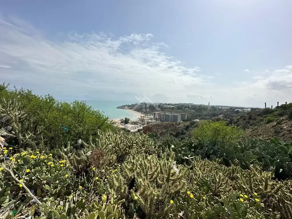 une opportunité à saisir pour Promoteur un terrain vue mer à Carthage Amilcar