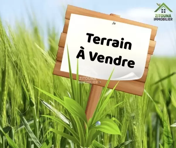 A vendre 3 lots de terrain à Omrane supérieur
