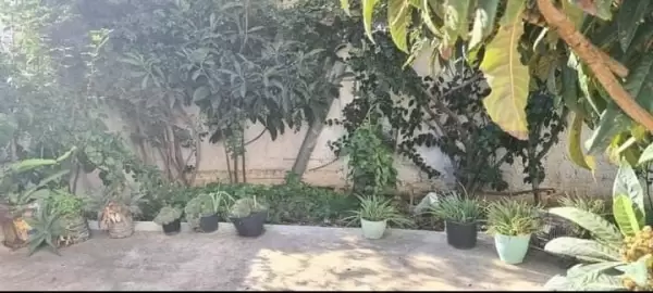 A Vendre un beau duplex à Ghar el Melh
