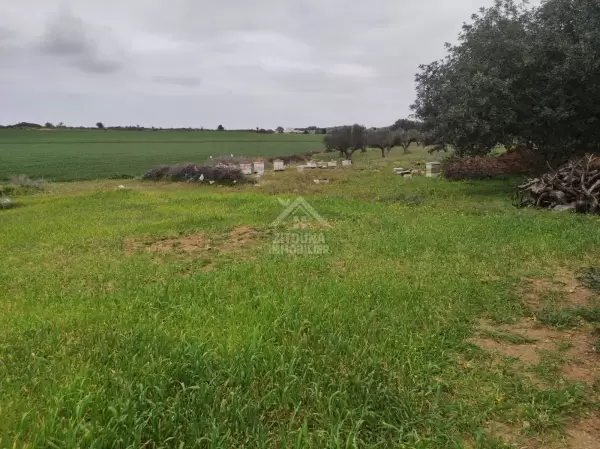 A Vendre 18 lots de terrains à Borj Touil Ariana