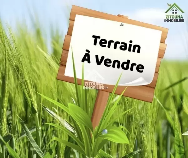 A vendre un terrain à Raoued