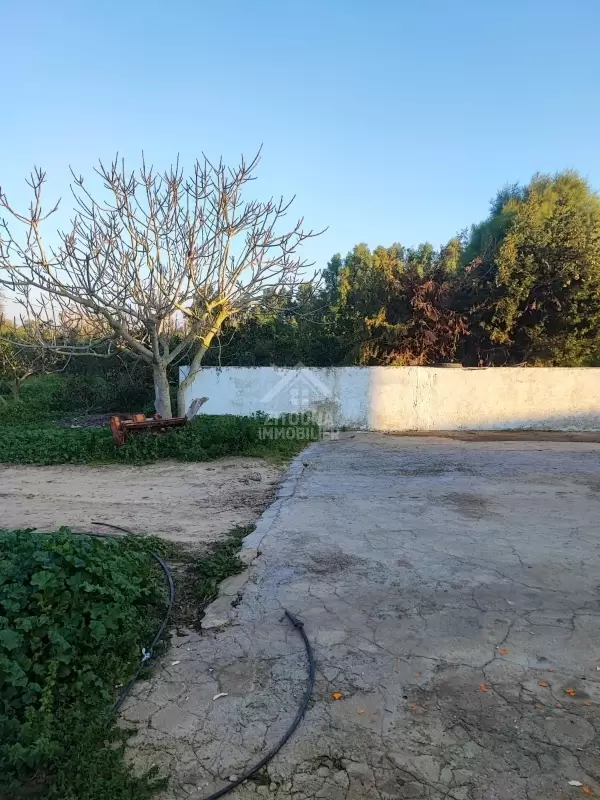 Une ferme agricole à vendre à Korba