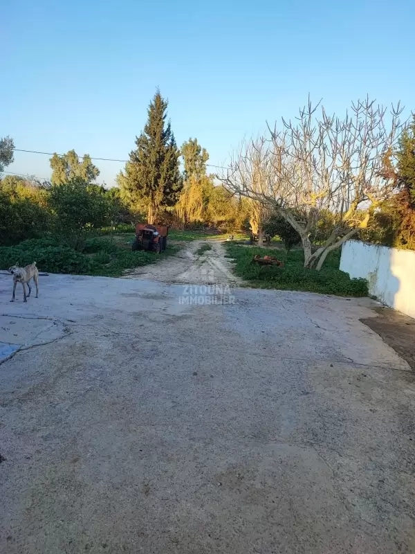 Une ferme agricole à vendre à Korba