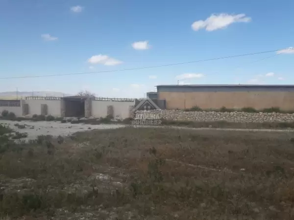Terrain à Vendre: Opportunité Unique à Kasserine